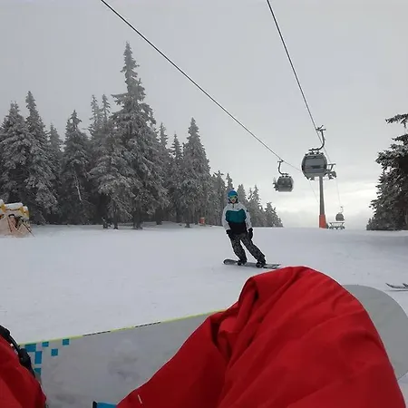 U Javor - 1x Soukrome Parkovani *